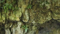 Pintu masuk Goa Lalay