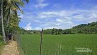 Menuju Goa Lalay