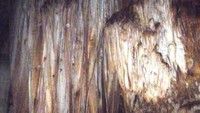 Stalagmit