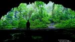 Gua Jomblang, Cahaya Surga dan Hutan Purba