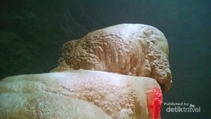 Gua Jomblang, Cahaya Surga dan Hutan Purba