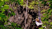 Hanya dengan menggunakan Single Rope Technique, traveler bisa mencapai ke dasar Gua Jomblang (uniqpost.com)