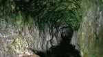 Gua Kreo, Keindahan Alam di Dalam Perut Kota Semarang