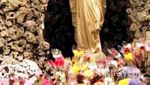 Gua Maria Berumur 1 Abad Lebih di Yogya