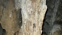 stalagtit berbentuk kemaluan