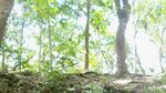 Gua Persembunyian Mak Lampir di Pangandaran