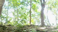 Berpose di Gua Jepang