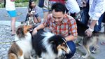 Guk! Guk! Lucunya Festival Anjing di Fort Rotterdam