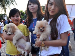 Guk! Guk! Lucunya Festival Anjing di Fort Rotterdam