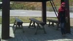 Gumitir Cafe, Tempat Rehat Penghilang Penat di Banyuwangi