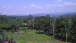Gumitir Cafe, Tempat Rehat Penghilang Penat di Banyuwangi