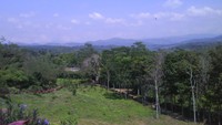 Pemandangan di sekitar Cafe