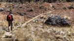 Gunung Argopuro Punya Danau Taman Hidup yang Mistis