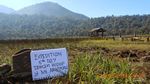 Gunung Argopuro Punya Danau Taman Hidup yang Mistis