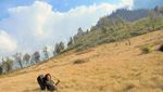 Gunung Argopuro, Surga Savana di Timur Jawa