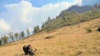 Savana di Argopuro