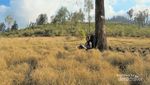 Gunung Argopuro, Surga Savana di Timur Jawa