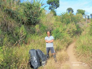 Gunung Argopuro, Surga Savana di Timur Jawa
