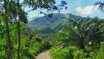 Gunung Birah, Pesona Wisata Alam di Kalimantan Selatan