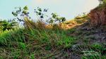 Gunung Birah, Pesona Wisata Alam di Kalimantan Selatan