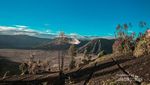Gunung Bromo yang Bikin Rindu