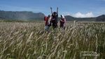 Gunung Bromo yang Bikin Rindu