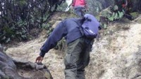Tanjakan Mamang, menjelang Tegal Alun, Papandayan