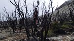 Gunung Cikuray, Lokasi Petualangan Baru Para Pendaki