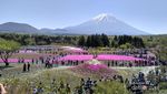 Gunung Fuji, Primadona Jepang yang Punya Pemandangan Ciamik