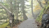 Trek Pendakian