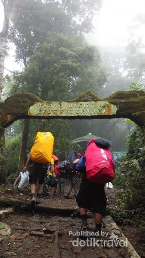Gunung Gede Pangrango, Keindahannya Wajib Didaki