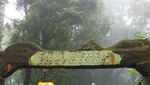 Gunung Gede Pangrango, Keindahannya Wajib Didaki