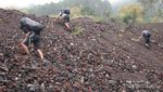 Gunung Guntur, Trek Dahsyat dan Sunrise Cantik
