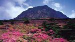 Gunung Hallasan, Puncak Tertinggi di Korea Selatan