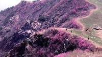 Gunung Hallasan, puncak tertinggi di korsel (my.opera.com)