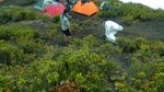 Gunung Kerinci, Menapaki Keindahan Tertinggi di Sumatera