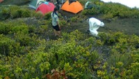 Suasana saat hendak berkemah (Suhardy Saputra/dTraveler)