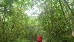 Gunung Lembu, Pilihan Naik Gunung di Jawa Barat