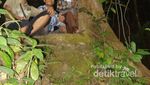Gunung Lima, Jurassic Park Dari Pacitan