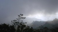 Lanskap rute pendakian Gunung Lima