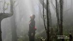 Gunung Mutis, Tempat Bersemayamnya Raja-raja NTT