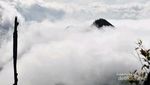 Gunung Mutis, Tempat Bersemayamnya Raja-raja NTT