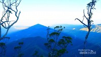 Ketika cerah dari  puncak mutis pendaki  akan disuguhi sebuah pemandangan yang luar biasa yakni bayangan dari gunung mutis yang membentuk piramida yang luas.