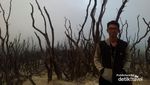 Gunung Papandayan, Cantiknya Dimana-mana
