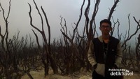 hutan mati