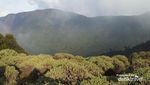 Gunung Papandayan, Cantiknya Dimana-mana