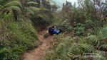 Gunung Prau dan Negeri di Atas Awan