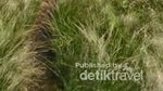 Gunung Prau Dieng Tetap Mempesona