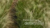 Bersama rombongan pendaki lainnya.