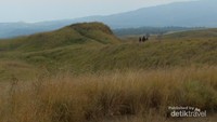 Padang rumput yang indah